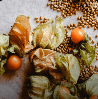 ashwagandha root extract